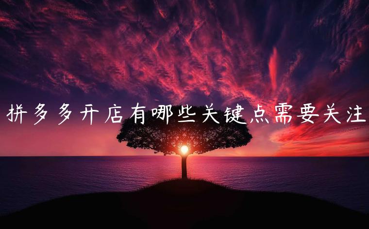 拼多多開店有哪些關(guān)鍵點(diǎn)需要關(guān)注